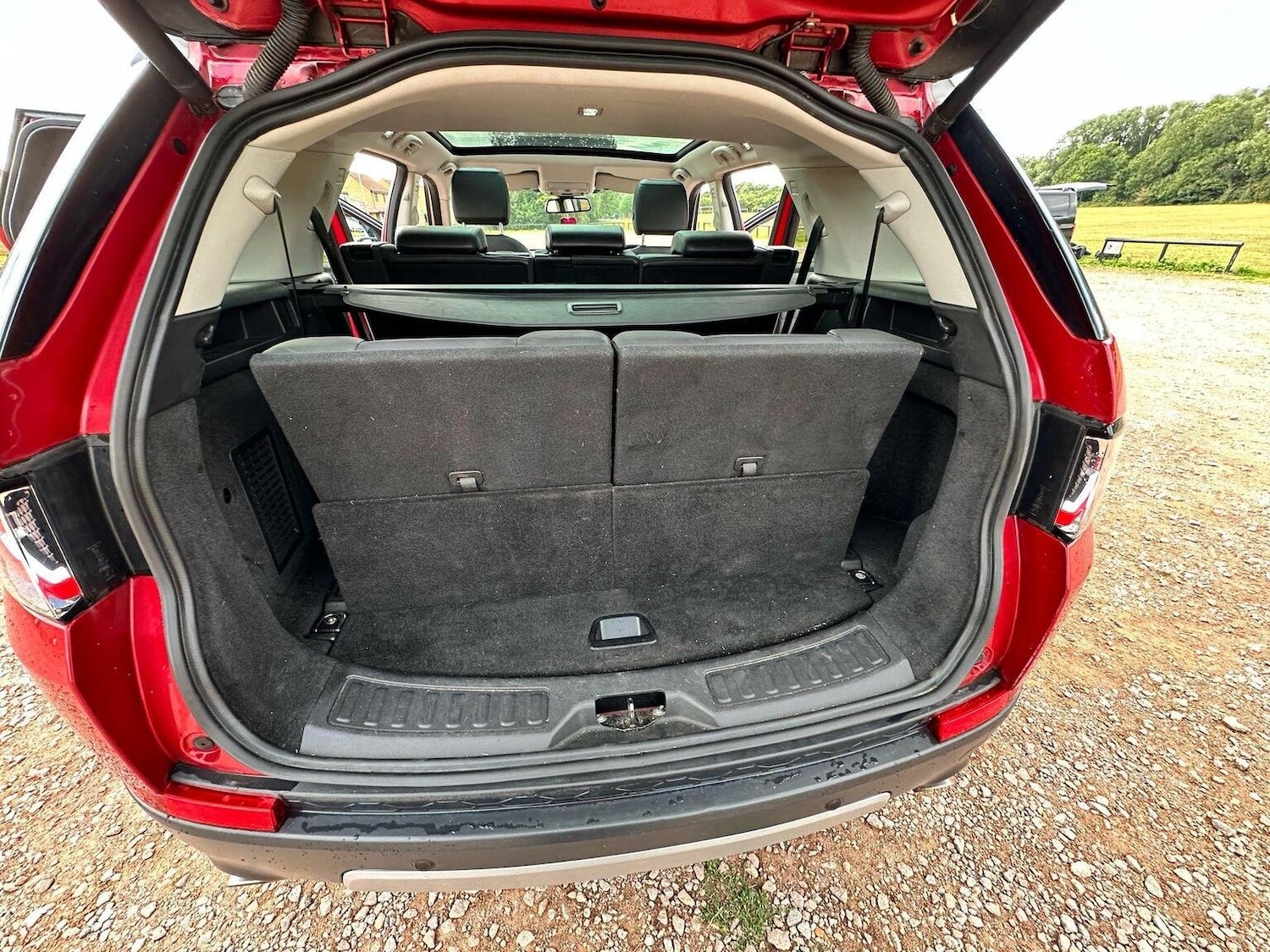 Vehicle 31