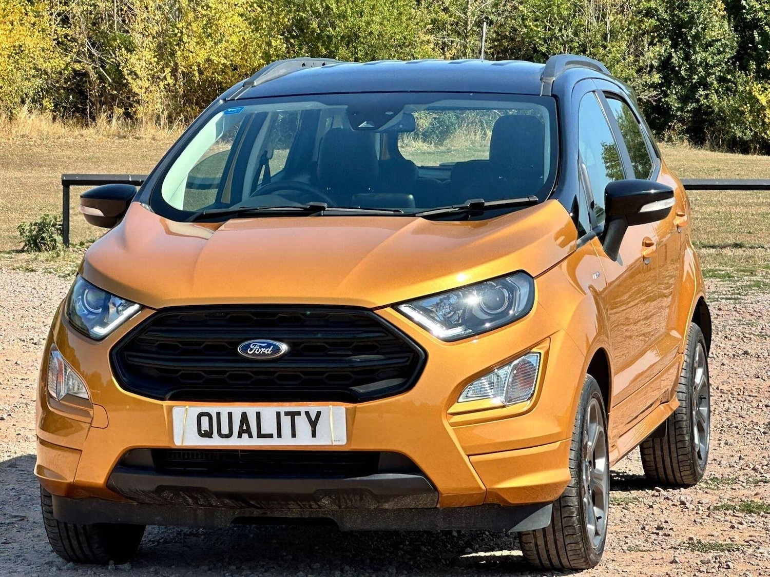 Used Ford Ecosport 2020 for sale - 77173034: Photo 36