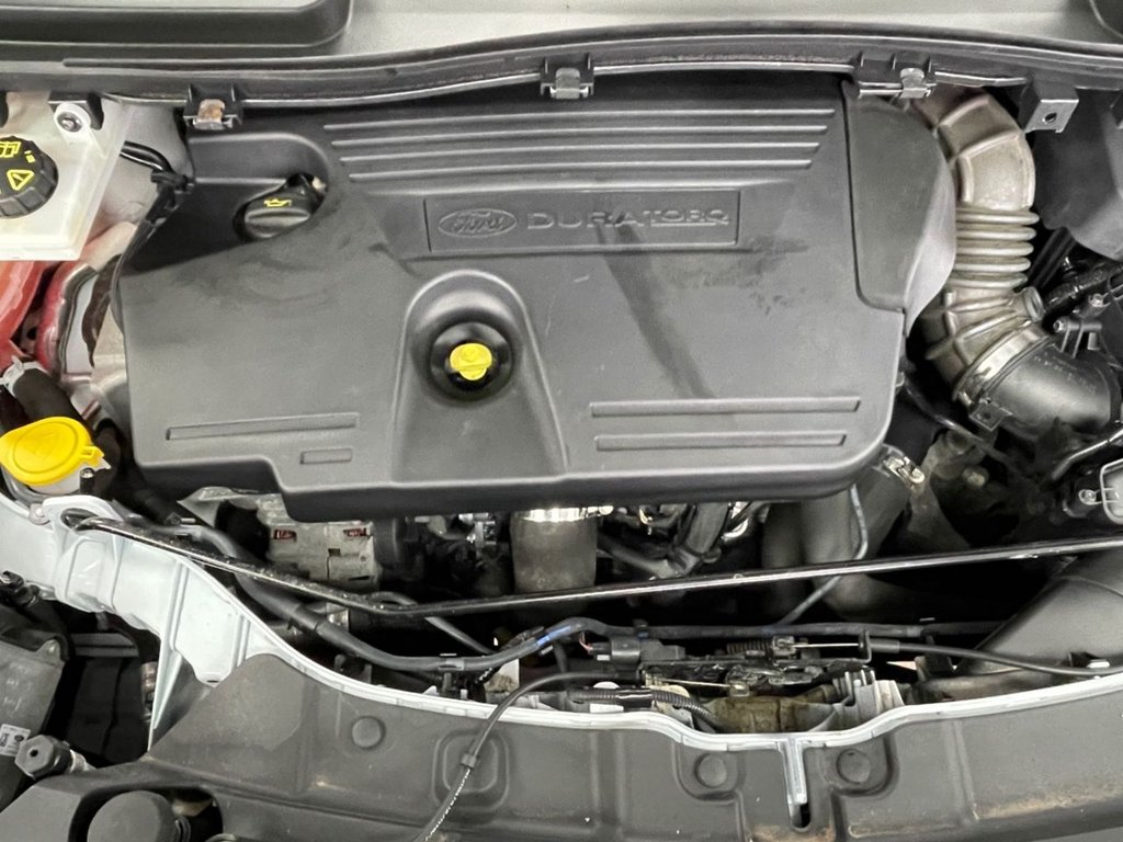 Used Ford Kuga 2019 for sale - 77849676: Photo 20