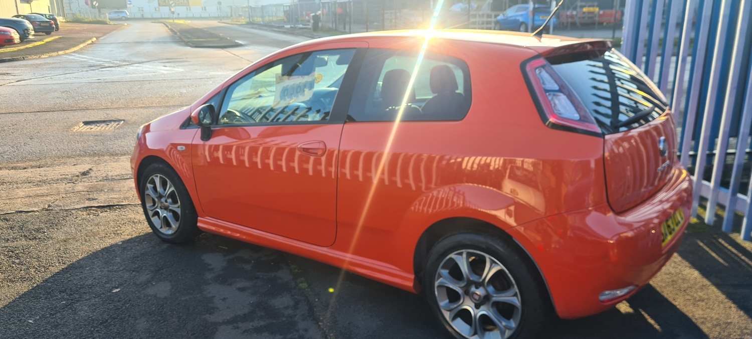 Used Fiat Punto 2013 for sale - 76853955: Photo 6