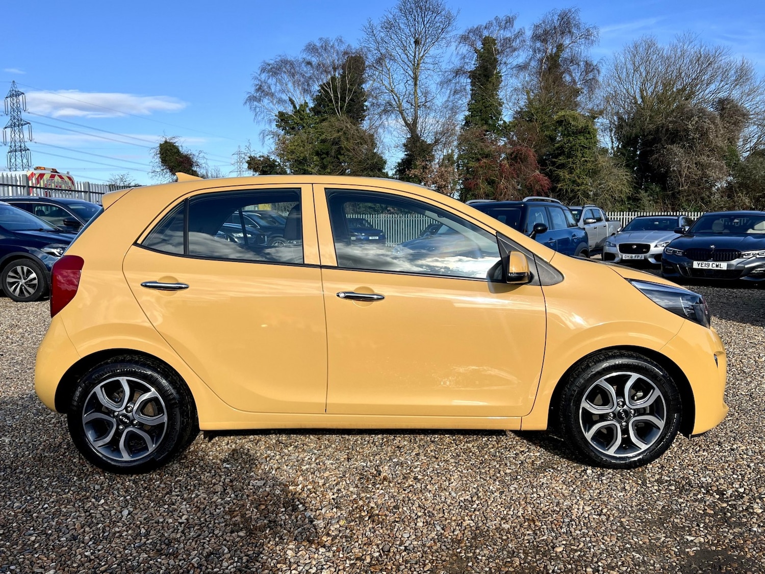 Used Kia Picanto 2023 for sale - 77453224: Photo 3