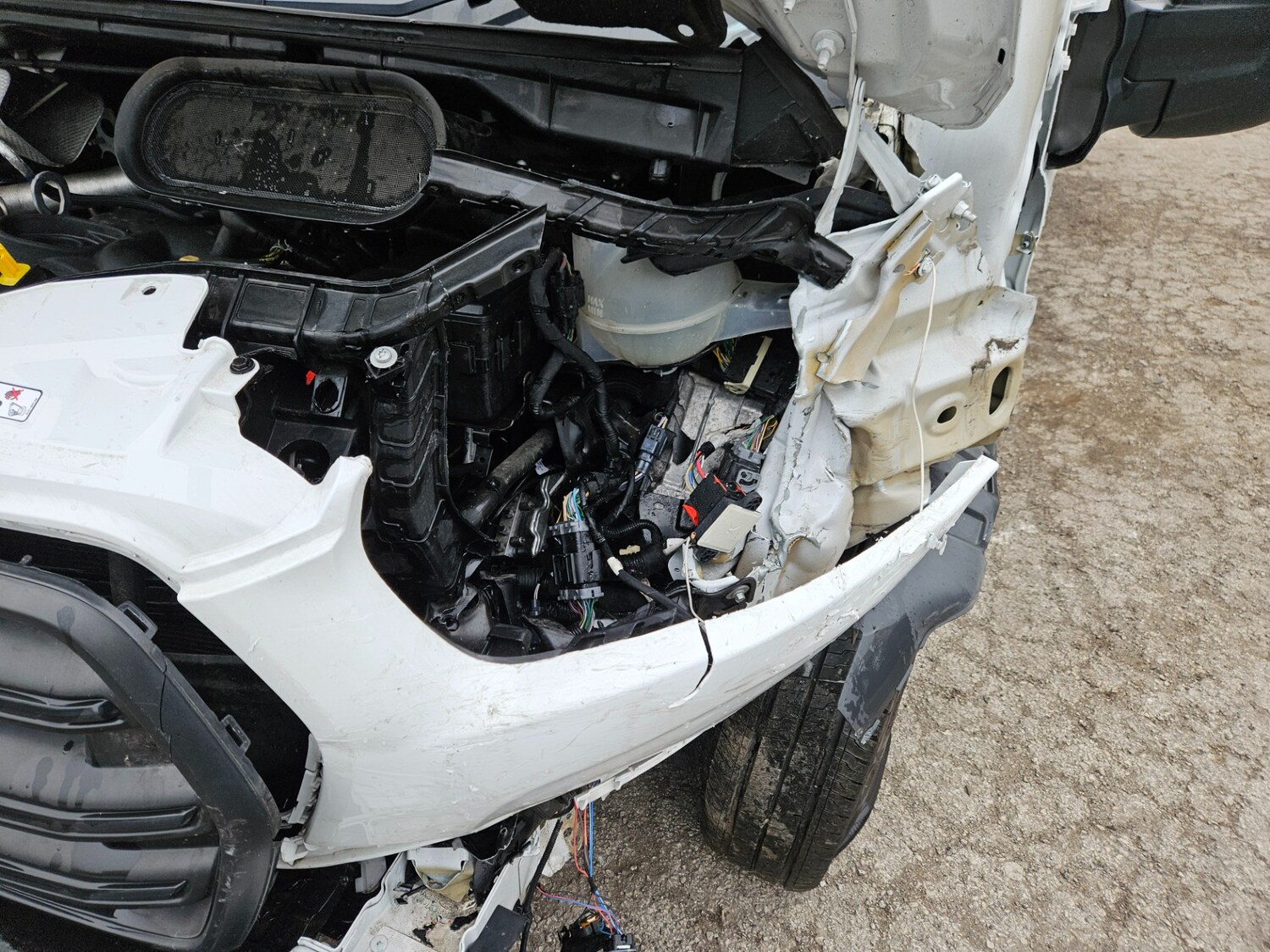 Used Ford Transit 2024 for sale - 76266183: Photo 18