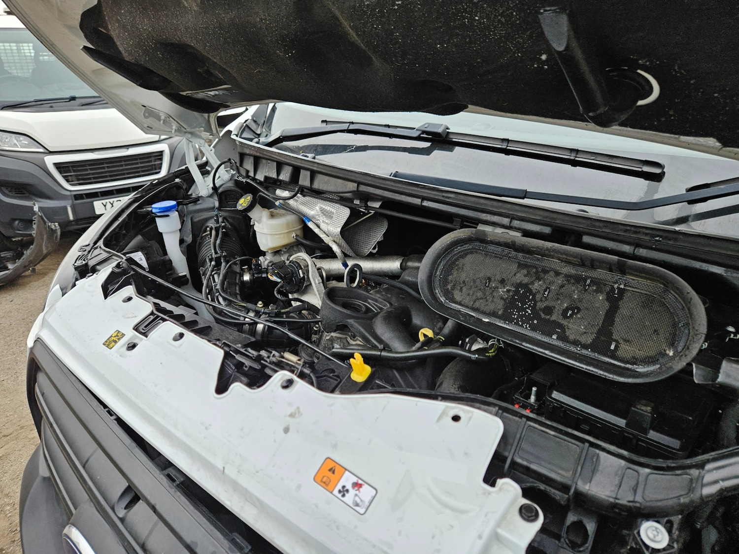 Used Ford Transit 2024 for sale - 76266183: Photo 19