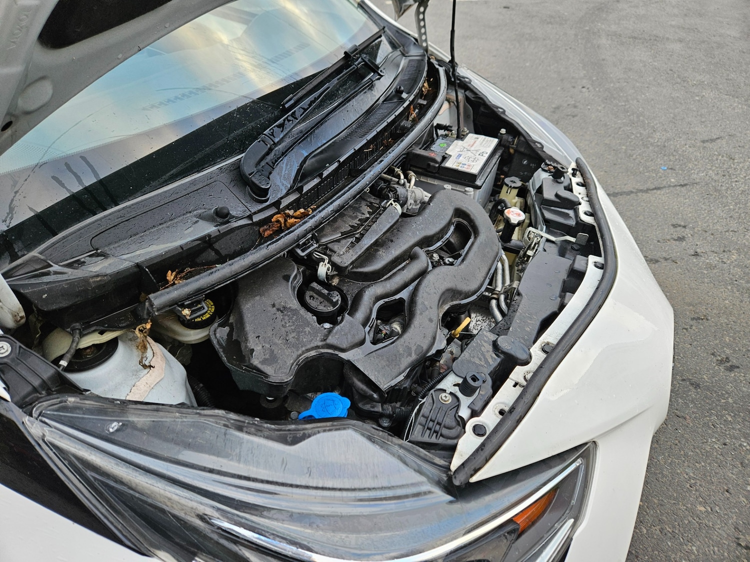 Used Toyota AYGO 2021 for sale - 76921957: Photo 18