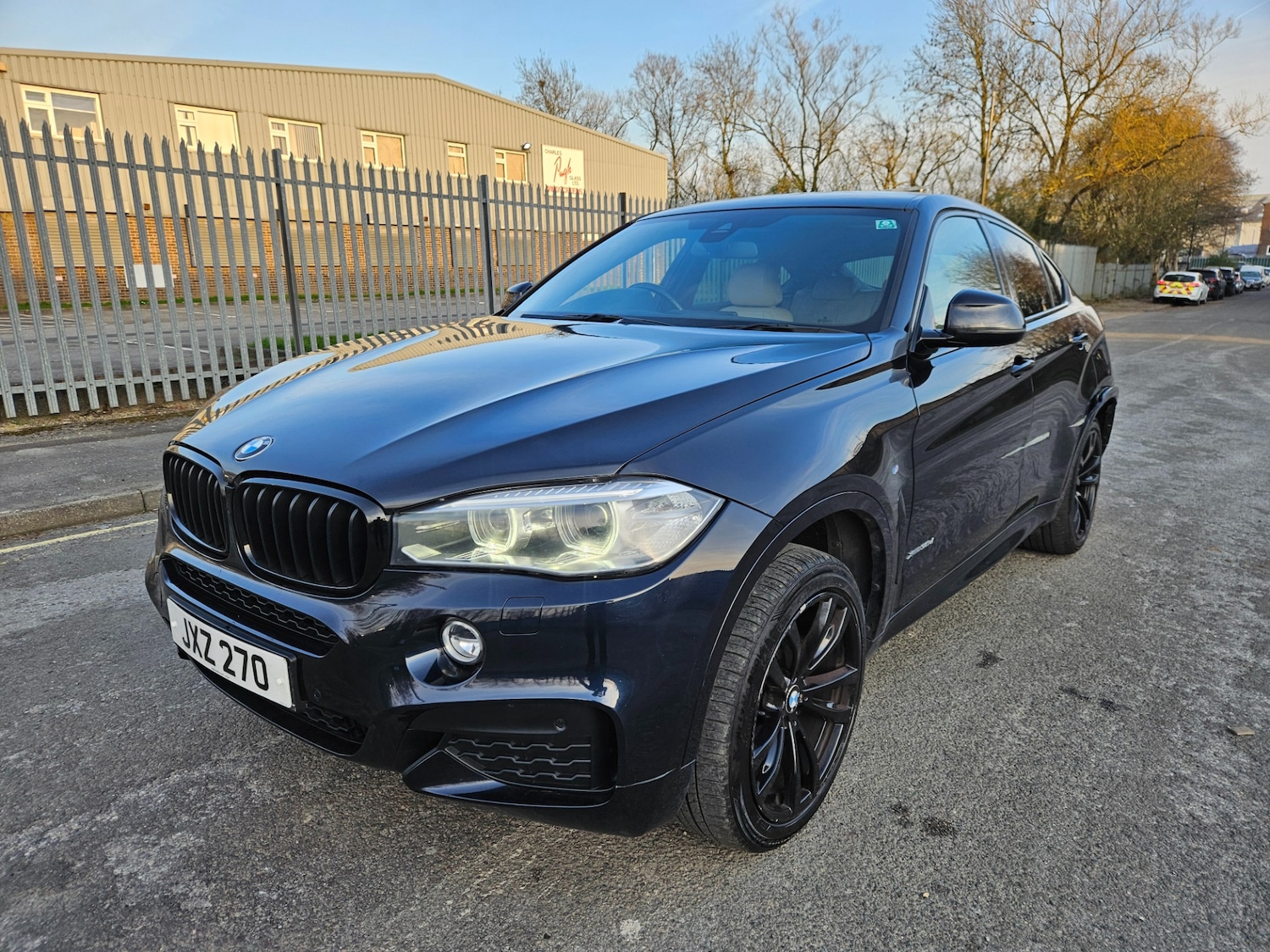 Used BMW X6 2017 for sale - 77960101: Photo 9