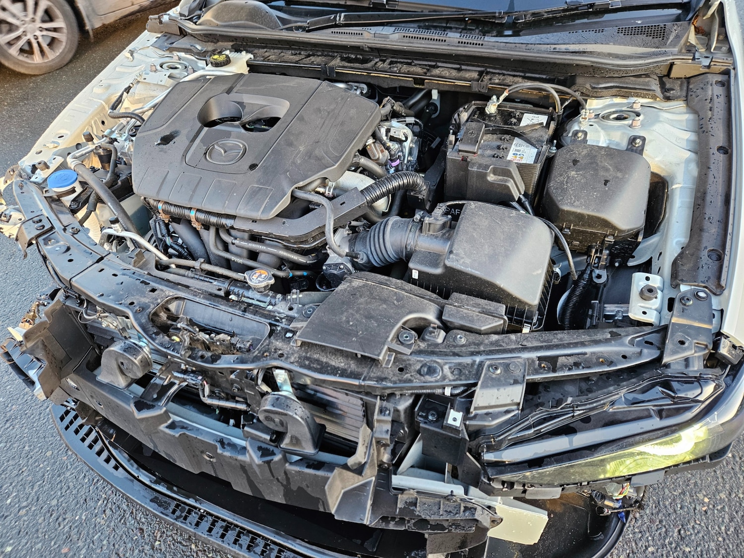 Used Mazda Mazda3 2025 for sale - 76780078: Photo 11