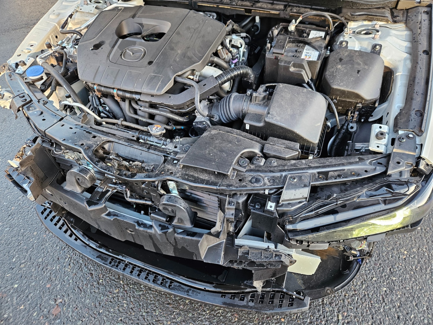 Used Mazda Mazda3 2025 for sale - 76780078: Photo 12