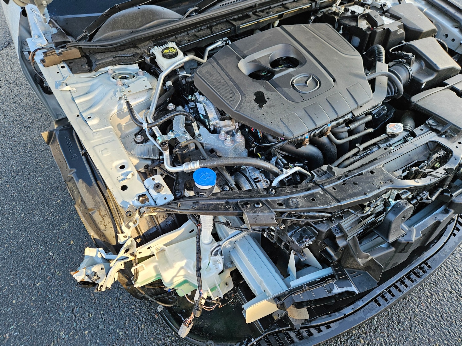 Used Mazda Mazda3 2025 for sale - 76780078: Photo 6