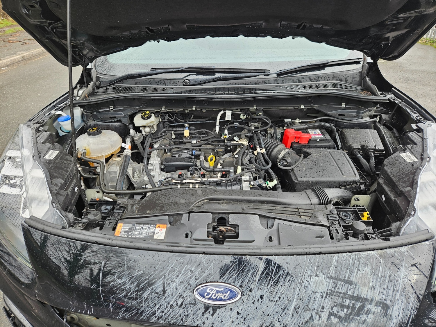 Used Ford Kuga 2023 for sale - 77517158: Photo 14