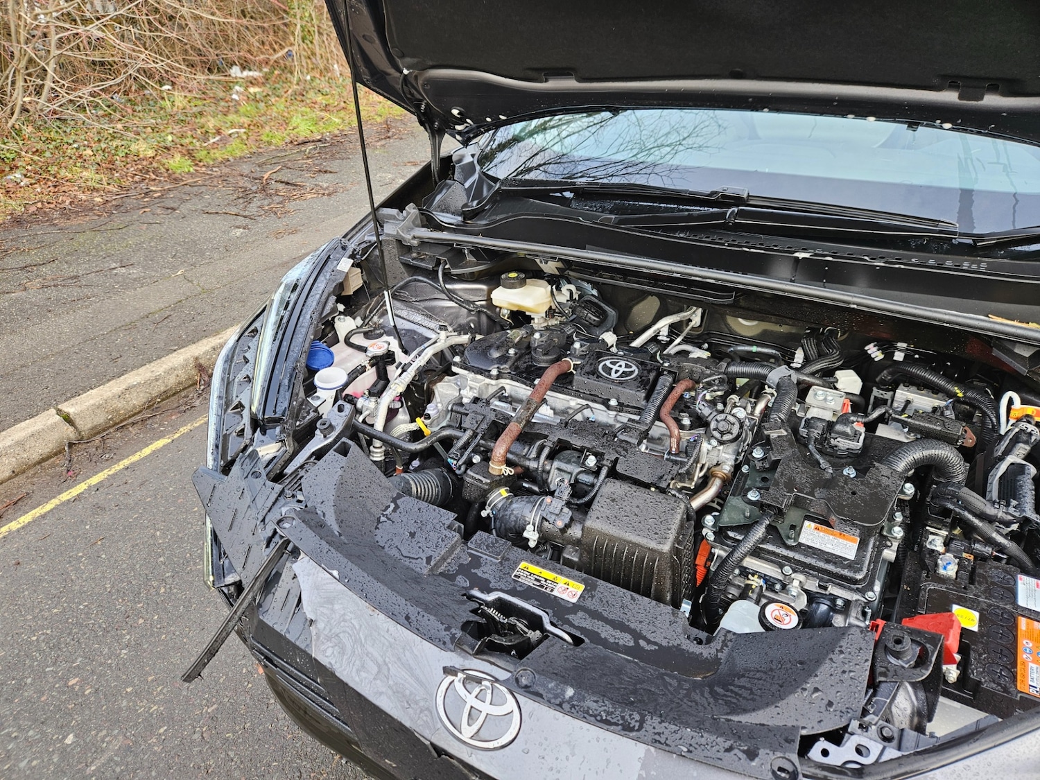 Used Toyota C-HR 2025 for sale - 77196432: Photo 14