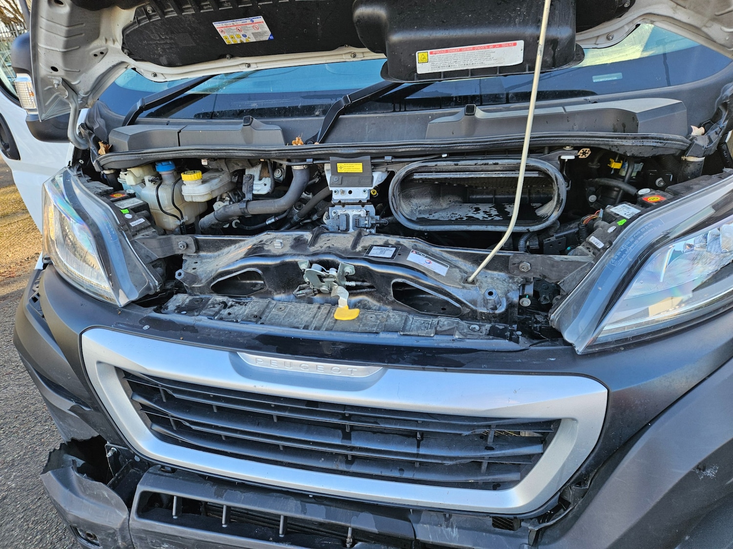 Used Peugeot Boxer 2024 for sale - 77006288: Photo 17