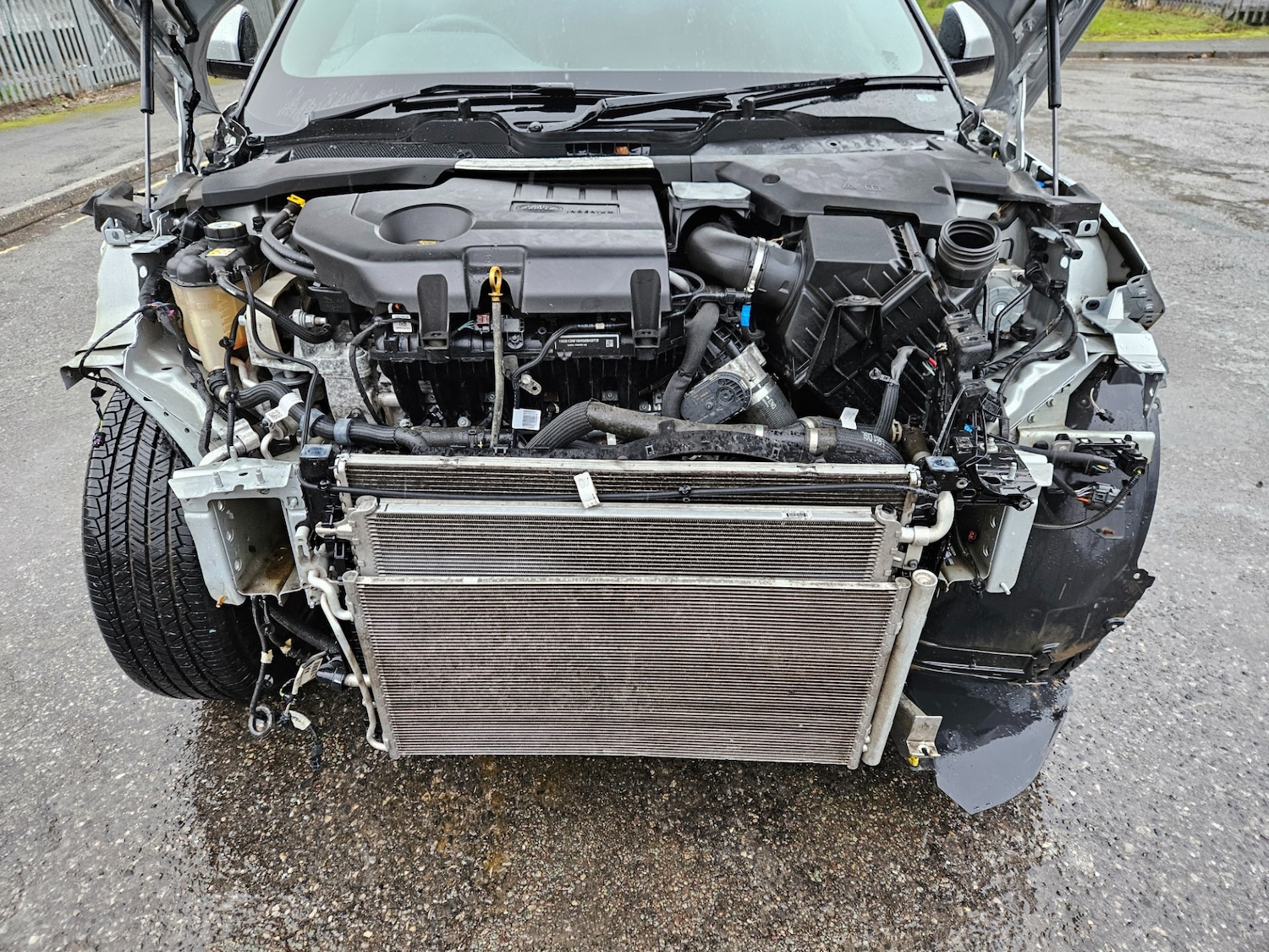 Used Land Rover Range Rover Evoque 2019 for sale - 77618384: Photo 4