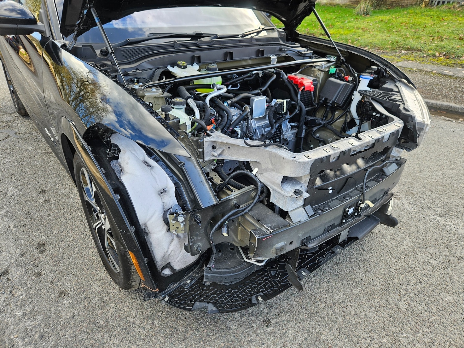 Used Ford Mustang Mach-E 2024 for sale - 77745160: Photo 15