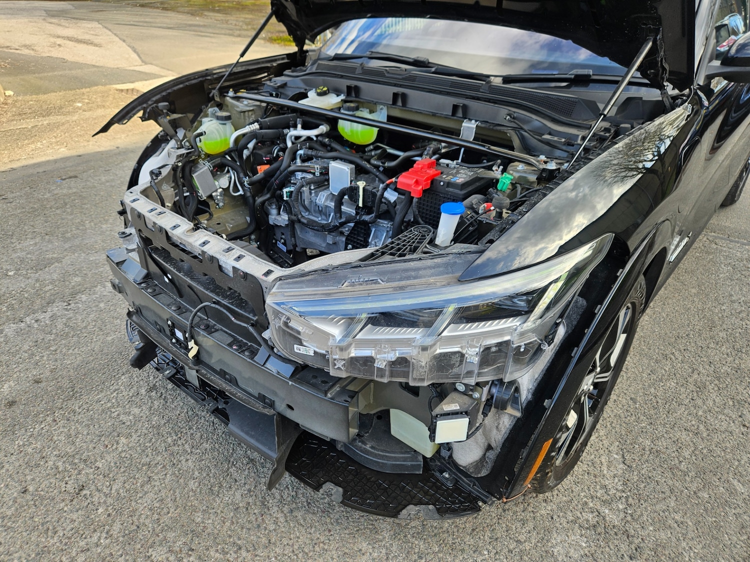 Used Ford Mustang Mach-E 2024 for sale - 77745160: Photo 16