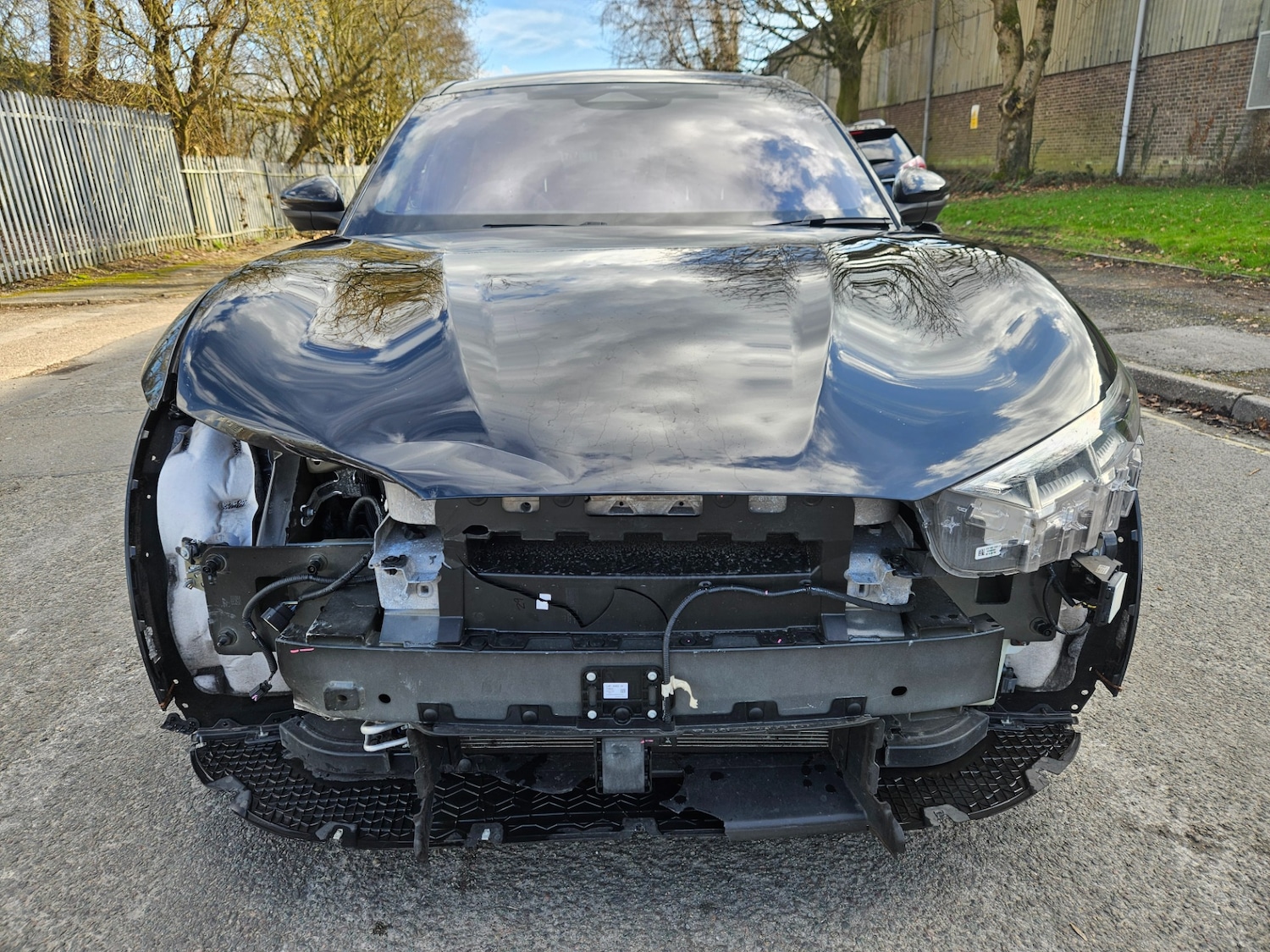 Used Ford Mustang Mach-E 2024 for sale - 77745160: Photo 17