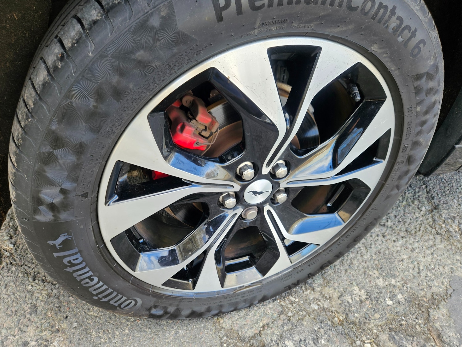 Used Ford Mustang Mach-E 2024 for sale - 77745160: Photo 19