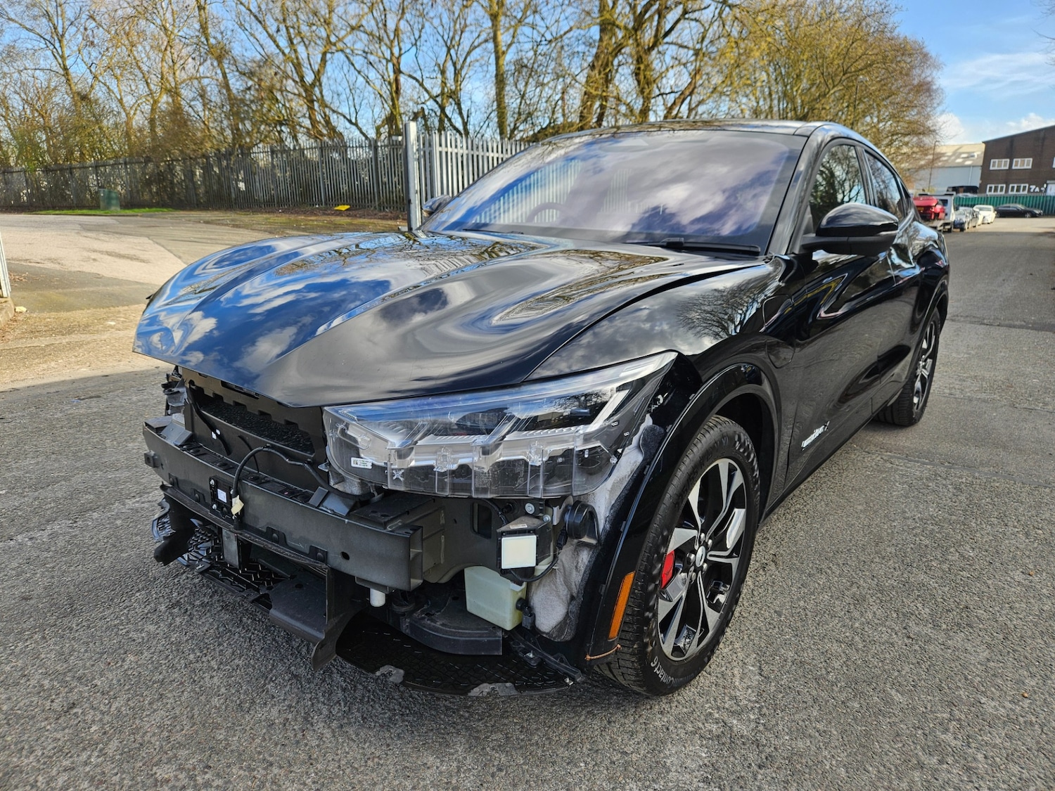 Used Ford Mustang Mach-E 2024 for sale - 77745160: Photo 22