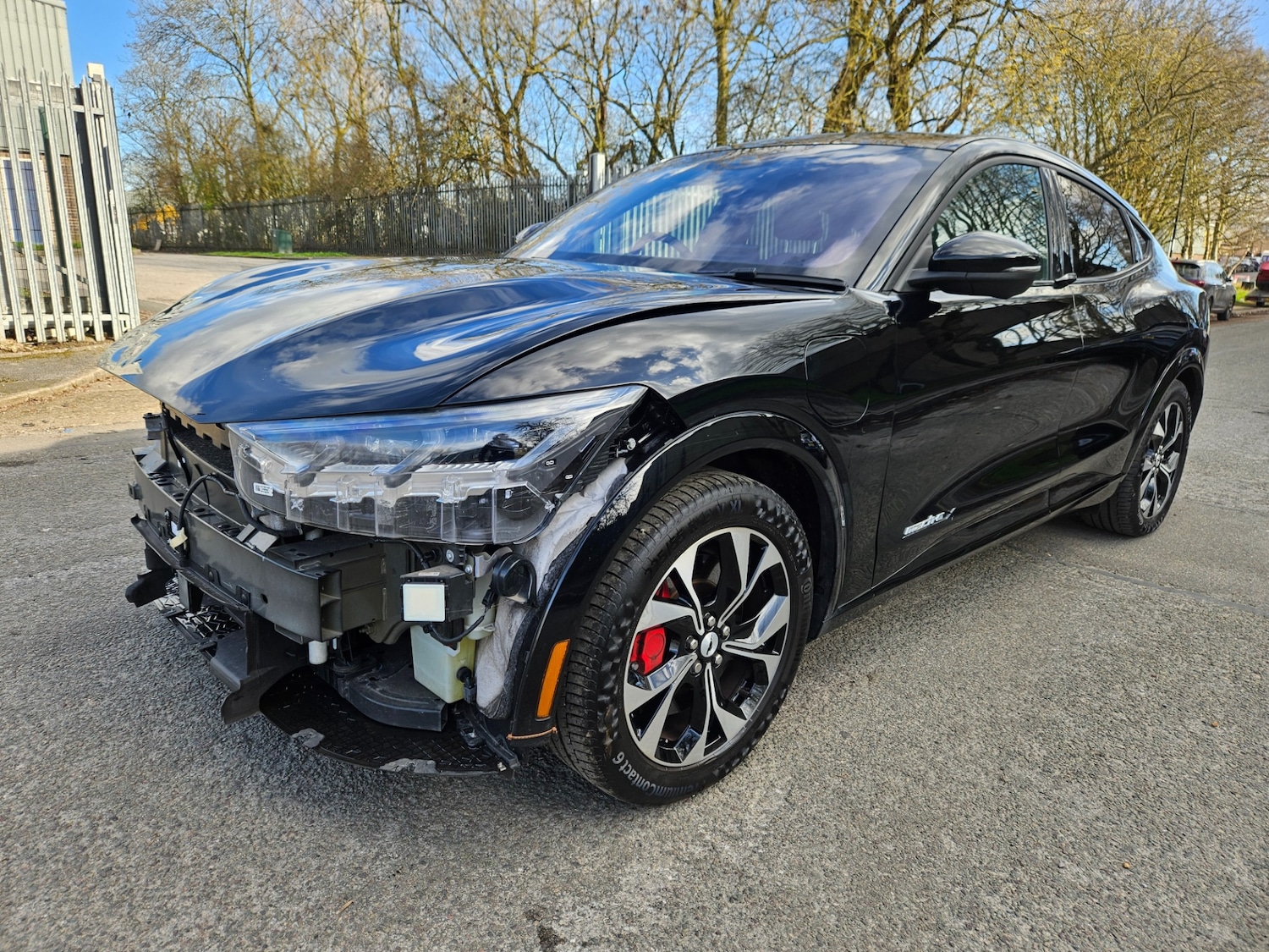 Used Ford Mustang Mach-E 2024 for sale - 77745160: Photo 8