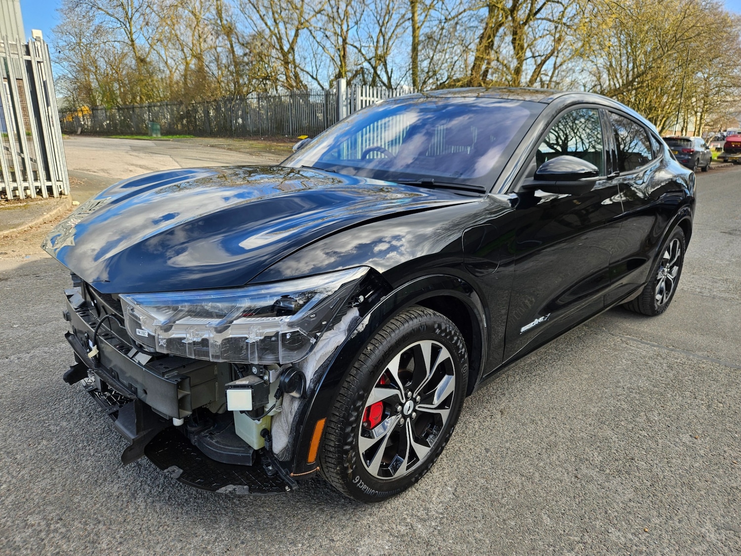 Used Ford Mustang Mach-E 2024 for sale - 77745160: Photo 9