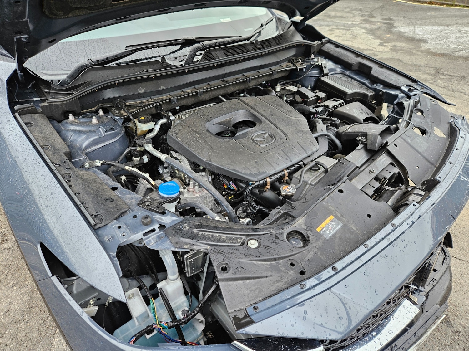 Used Mazda CX-5 2024 for sale - 76451988: Photo 18