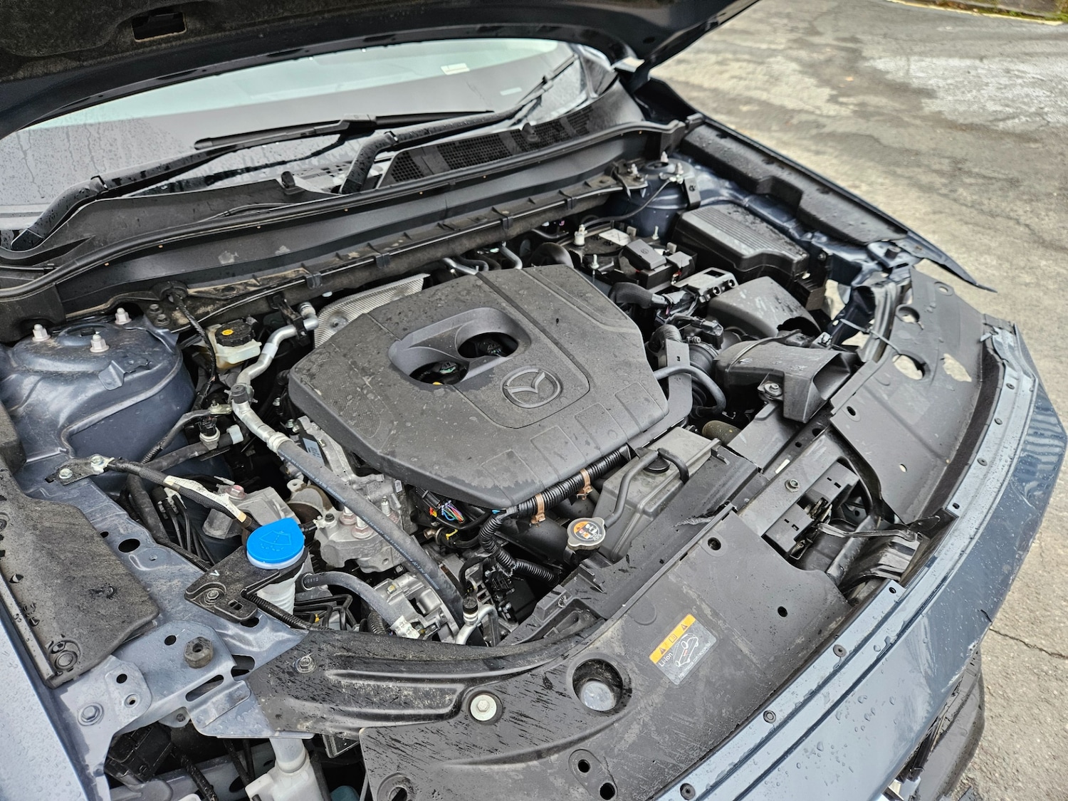 Used Mazda CX-5 2024 for sale - 76451988: Photo 19