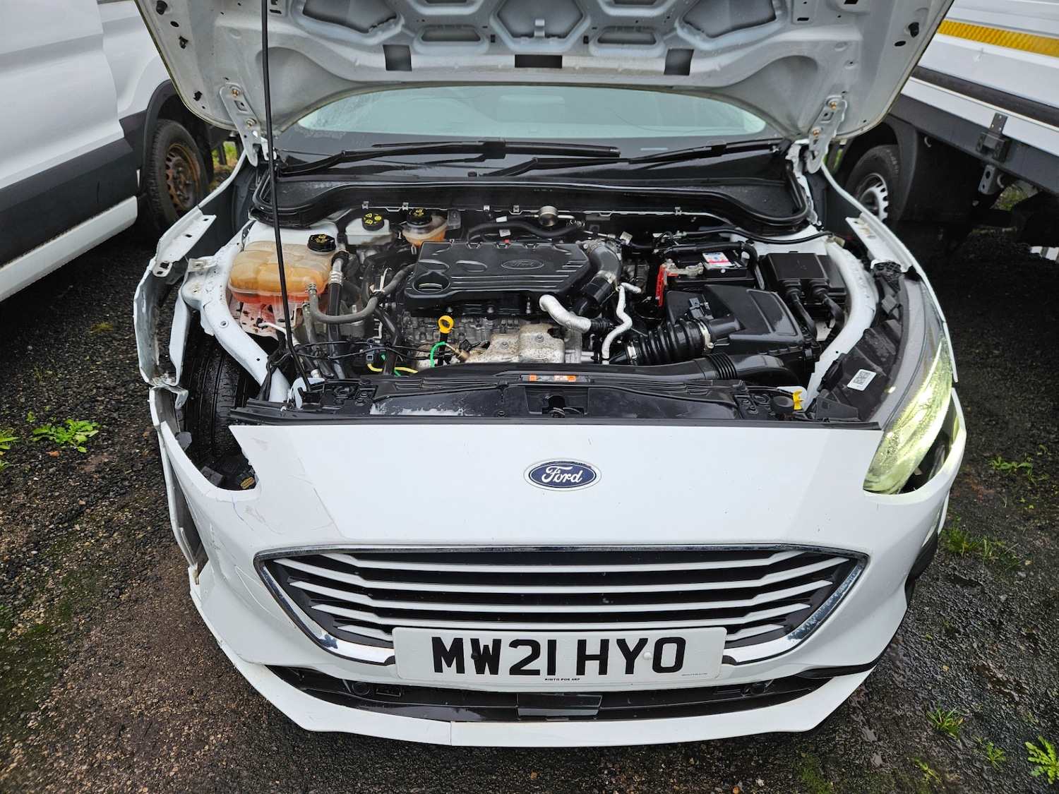 Used Ford Focus 2021 for sale - 77447660: Photo 7