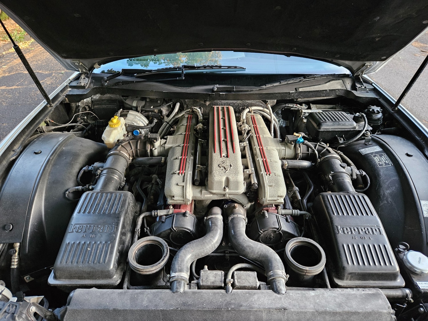 Used Ferrari 550 2001 for sale - 75131645: Photo 11