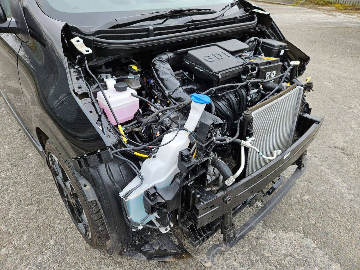 Used Kia Picanto 2025 for sale - 77790401: Photo 19