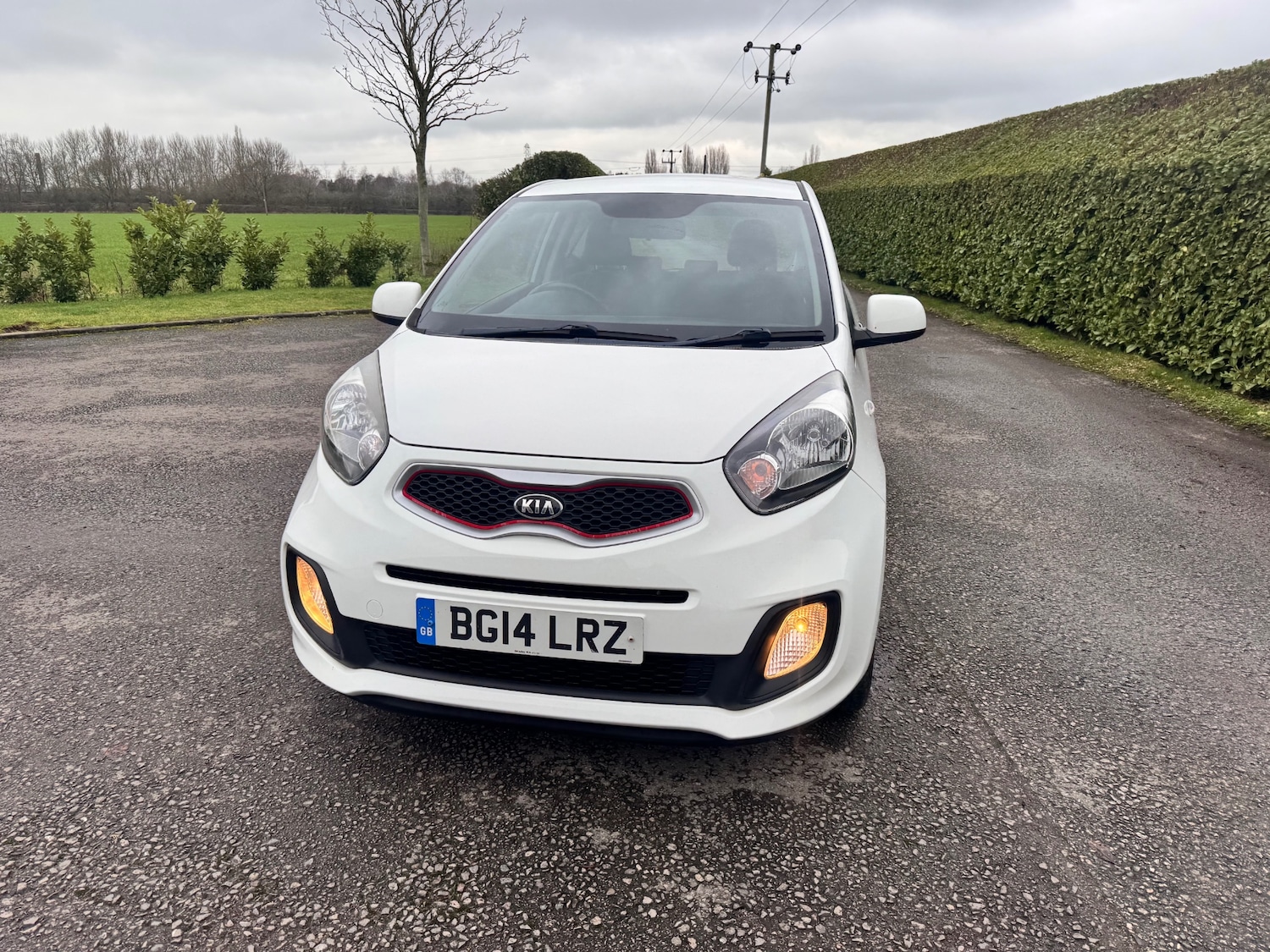 Used Kia Picanto 2014 for sale - 77533601: Photo 5