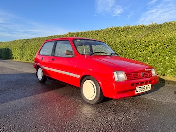 1989 (G) - 1.0 Mosaic 3dr