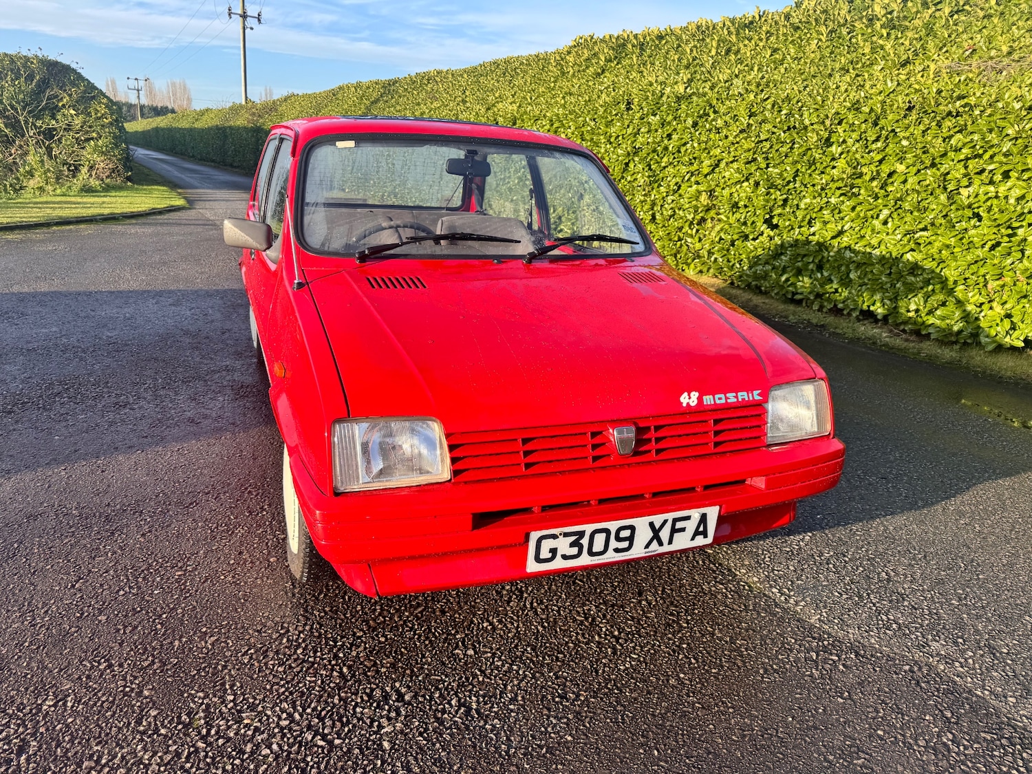 Used Austin Metro 1989 for sale - 76963225: Photo 2