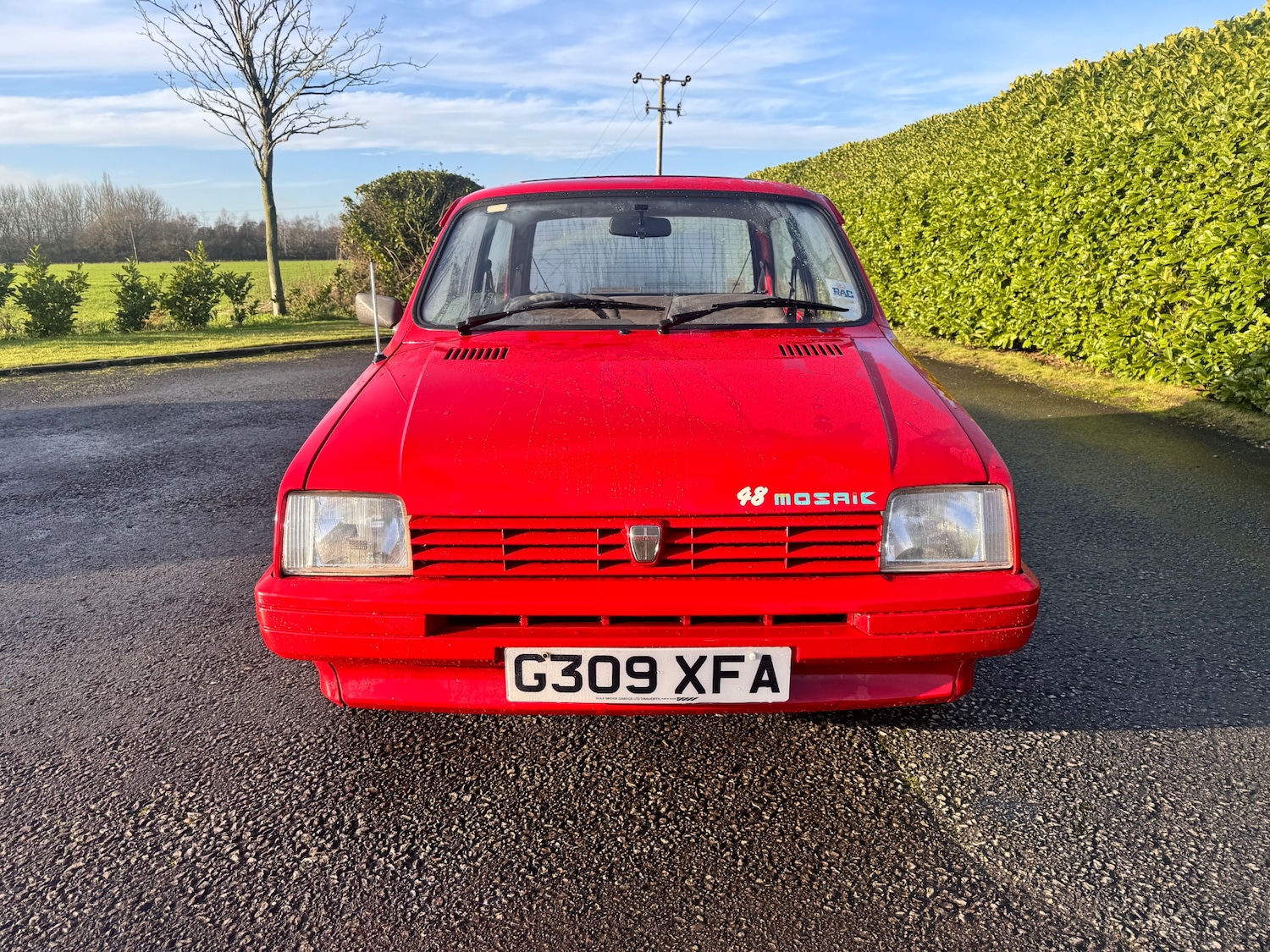 Used Austin Metro 1989 for sale - 76963225: Photo 3