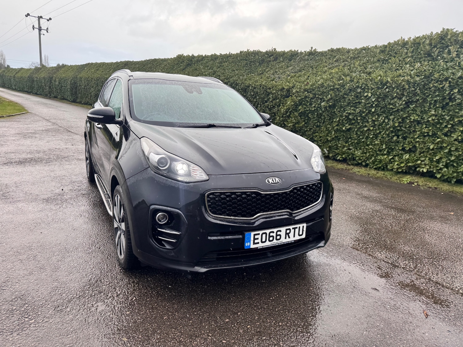 Used Kia Sportage 2016 for sale - 77094559: Photo 3