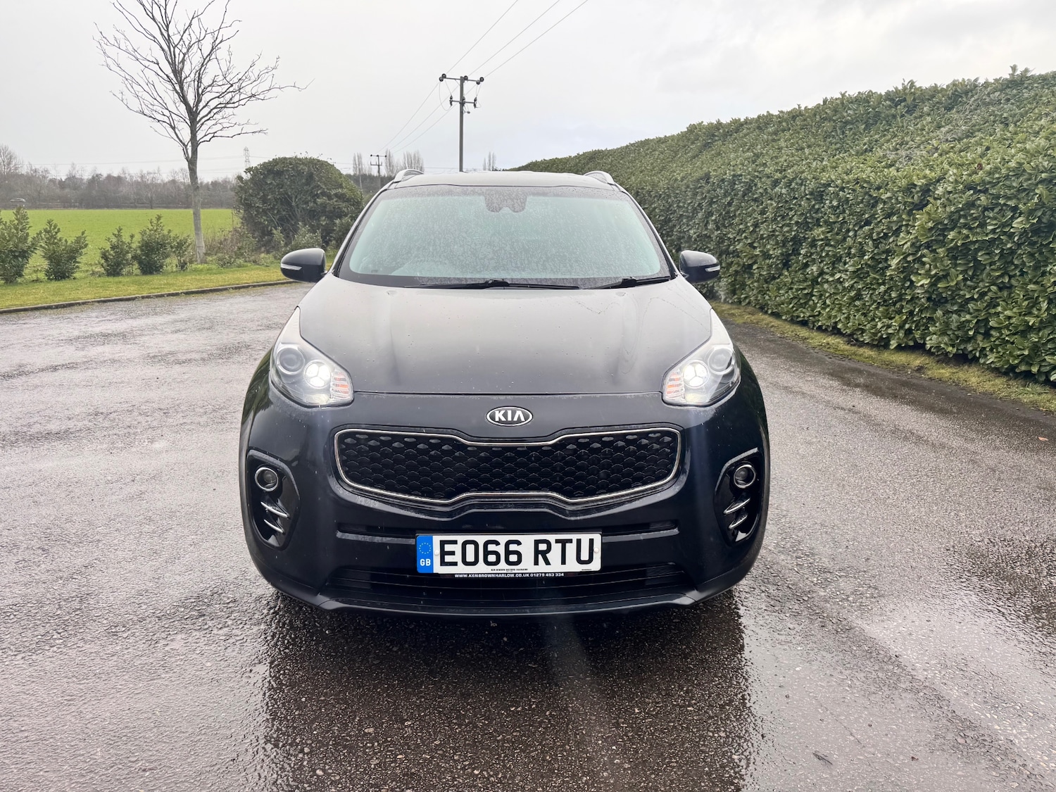 Used Kia Sportage 2016 for sale - 77094559: Photo 4