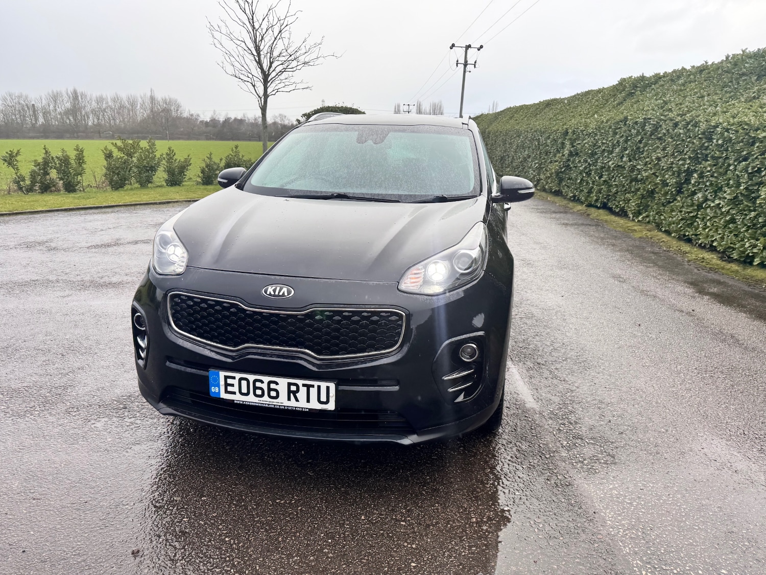 Used Kia Sportage 2016 for sale - 77094559: Photo 5