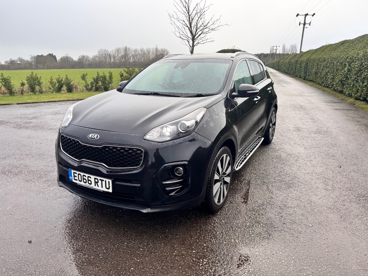 Used Kia Sportage 2016 for sale - 77094559: Photo 6