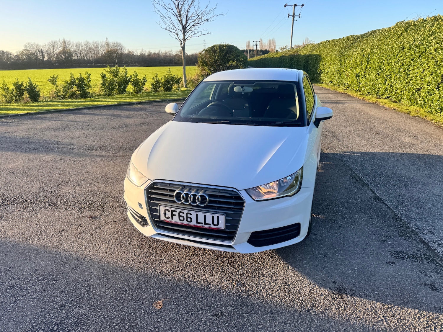 Used Audi A1 2016 for sale - 76438551: Photo 1