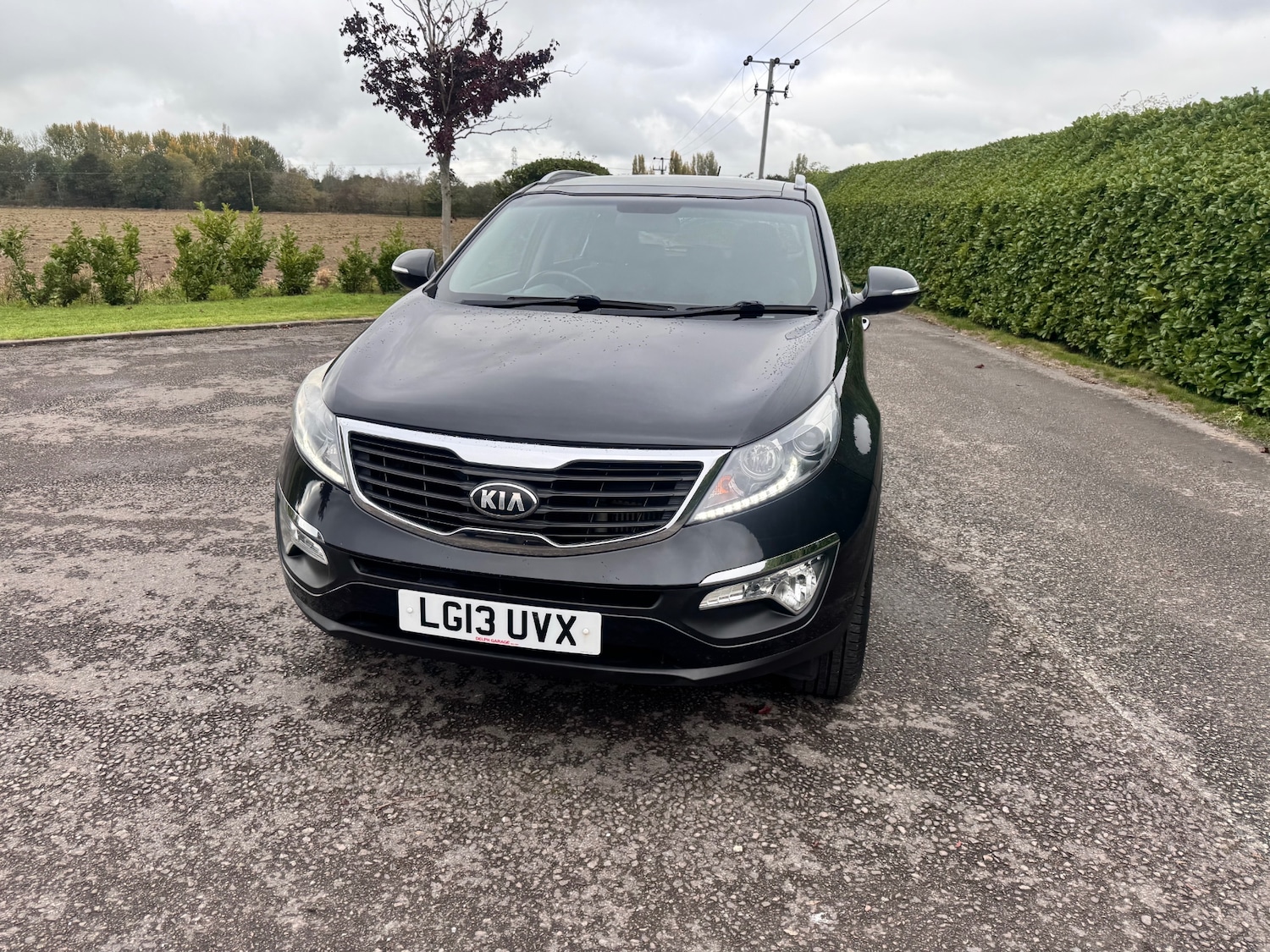 Used Kia Sportage 2013 for sale - 76254842: Photo 5