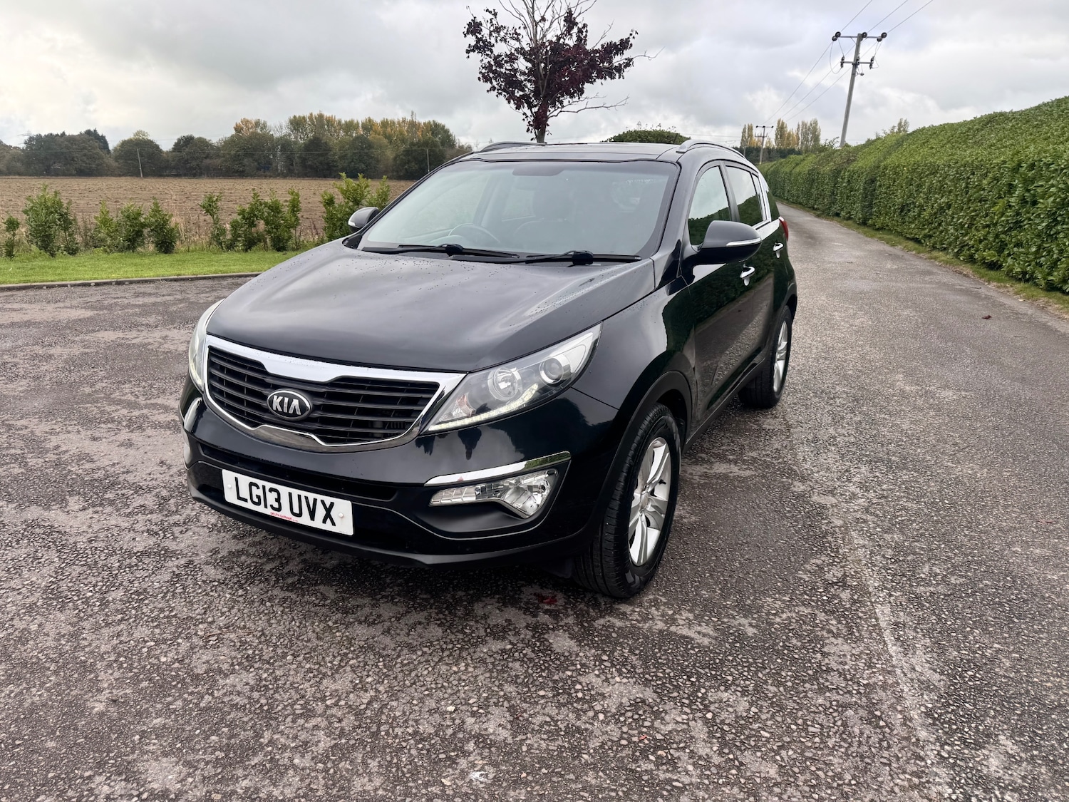 Used Kia Sportage 2013 for sale - 76254842: Photo 6