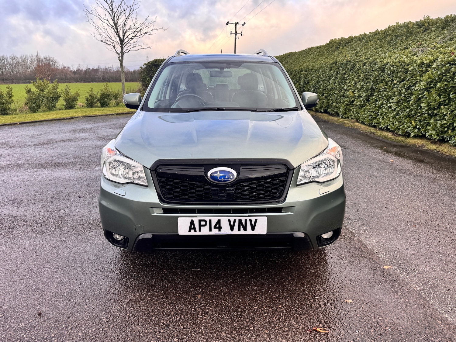 Used Subaru Forester 2014 for sale - 76845935: Photo 3