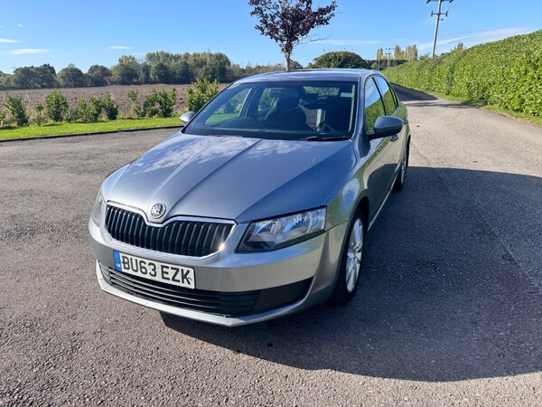 Used Skoda Octavia 2013 for sale - 76198626: Photo 6