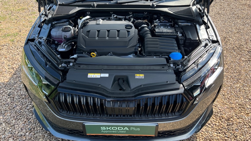 Used Skoda Octavia 2025 for sale - 76458813: Photo 17