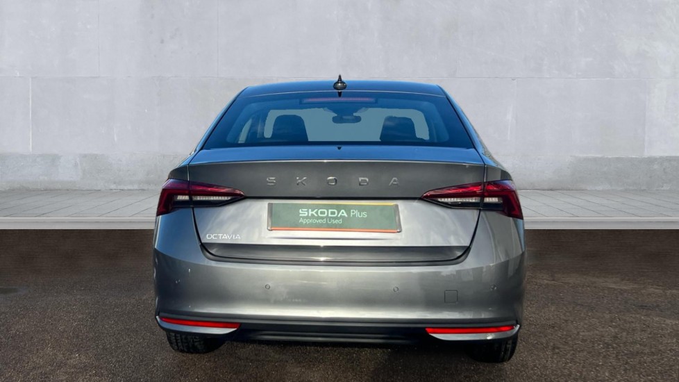 Used Skoda Octavia 2024 for sale - 76873485: Photo 11