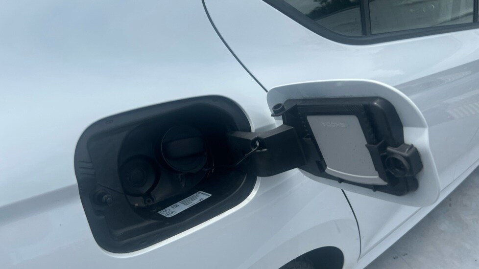 Used Skoda Octavia 2024 for sale - 76580232: Photo 29