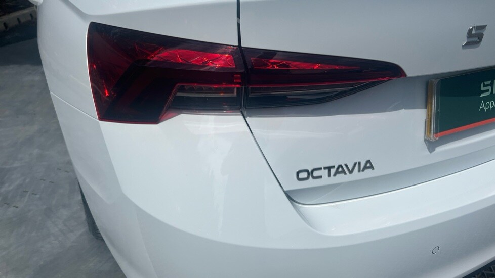 Used Skoda Octavia 2024 for sale - 76580232: Photo 54