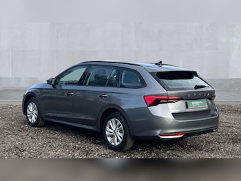 Used Skoda Octavia 2025 for sale - 76400795: Photo