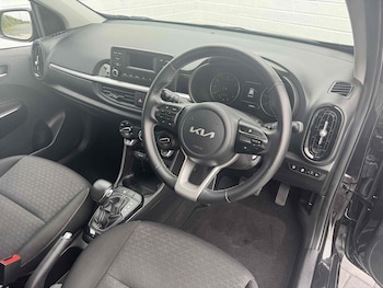 Used Kia Picanto 2023 for sale - 76477884: Photo