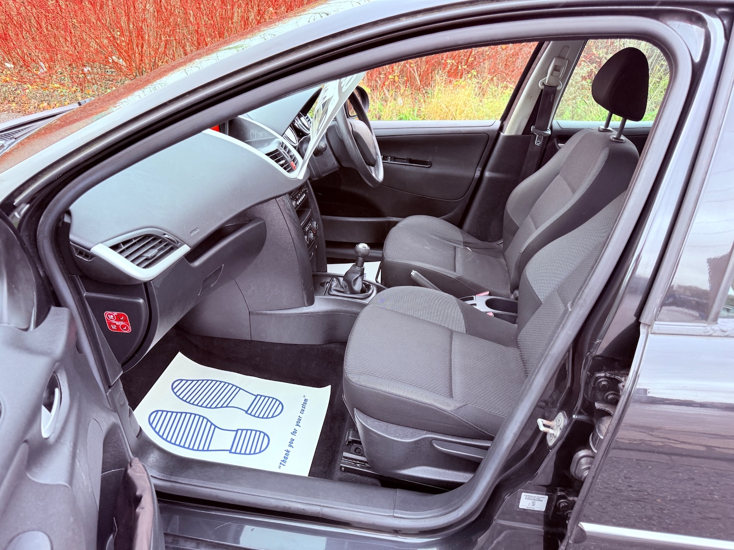 Used Peugeot 207 2010 for sale - 76438283: Photo 13