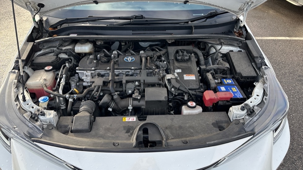 Used Toyota Corolla 2019 for sale - 76881720: Photo 16