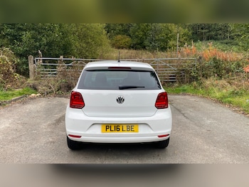 Used Volkswagen Polo 2016 for sale - 76102832: Photo